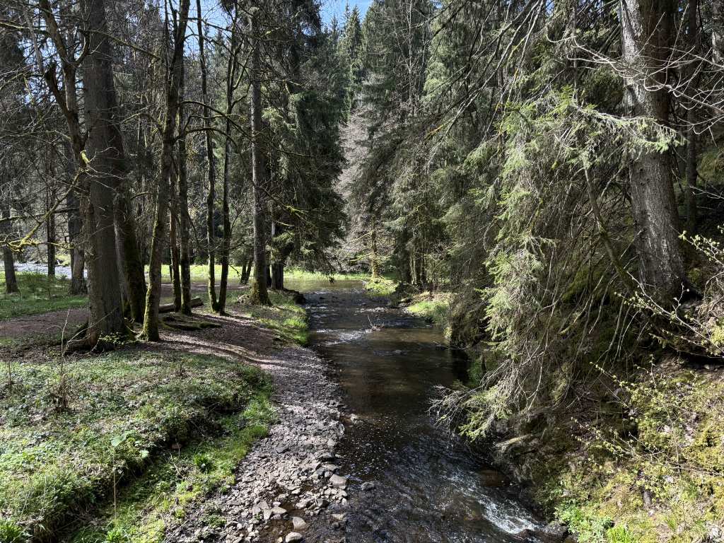 European Long distance path E1 - part Germany, Baden-Wuerttemberg (region Schwarzwald south)