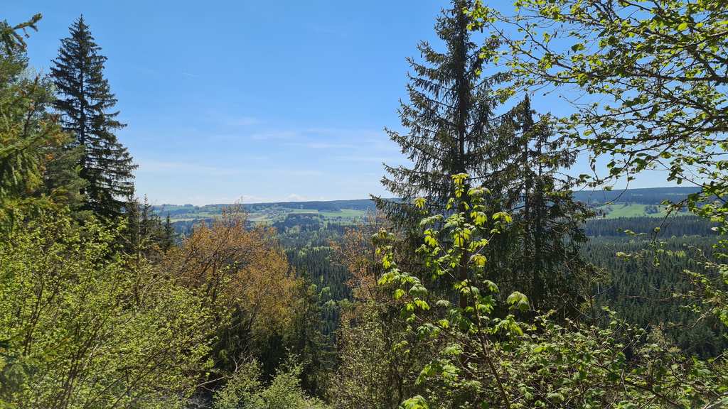 Rötenbachkloof – Rötenbach-waterval rondtocht vanuit Wutachschlucht