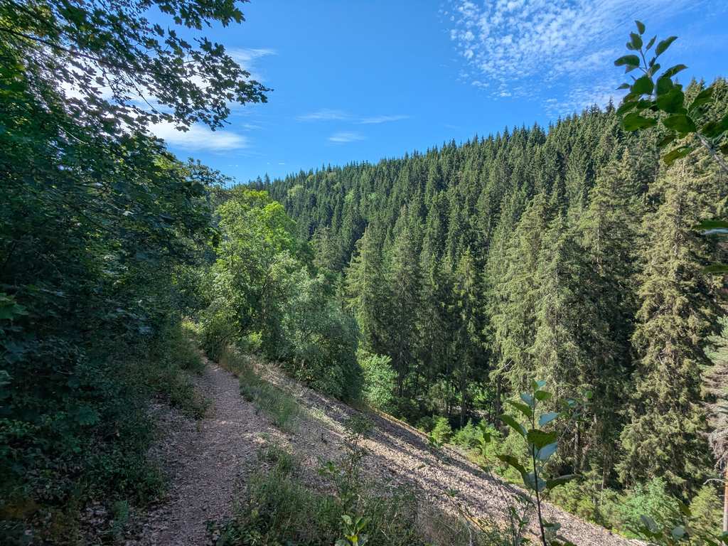 Rötenbachkloof – Rötenbach-waterval rondtocht vanuit Wutachschlucht