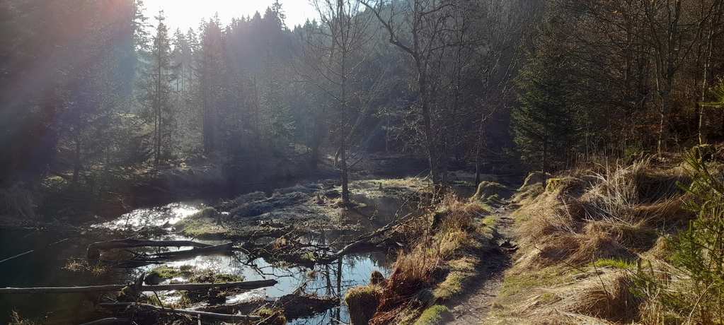 Rötenbachkloof – Rötenbach-waterval rondtocht vanuit Wutachschlucht