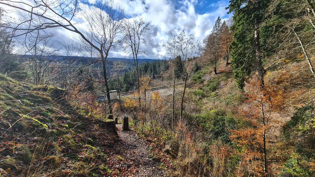 Rötenbachkloof – Rötenbach-waterval rondtocht vanuit Wutachschlucht