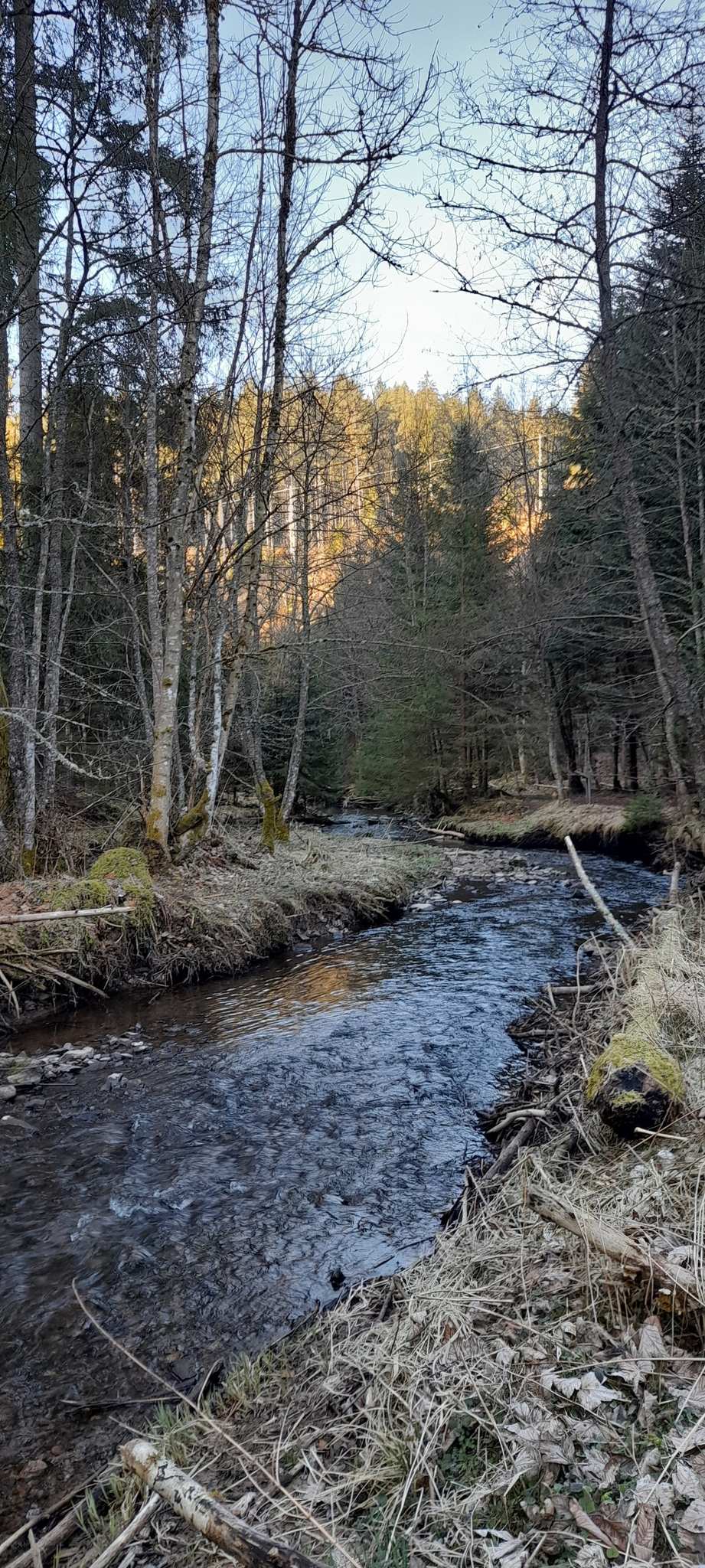 Rötenbachkloof – Rötenbachkloofpad rondtocht vanuit Rötenbach