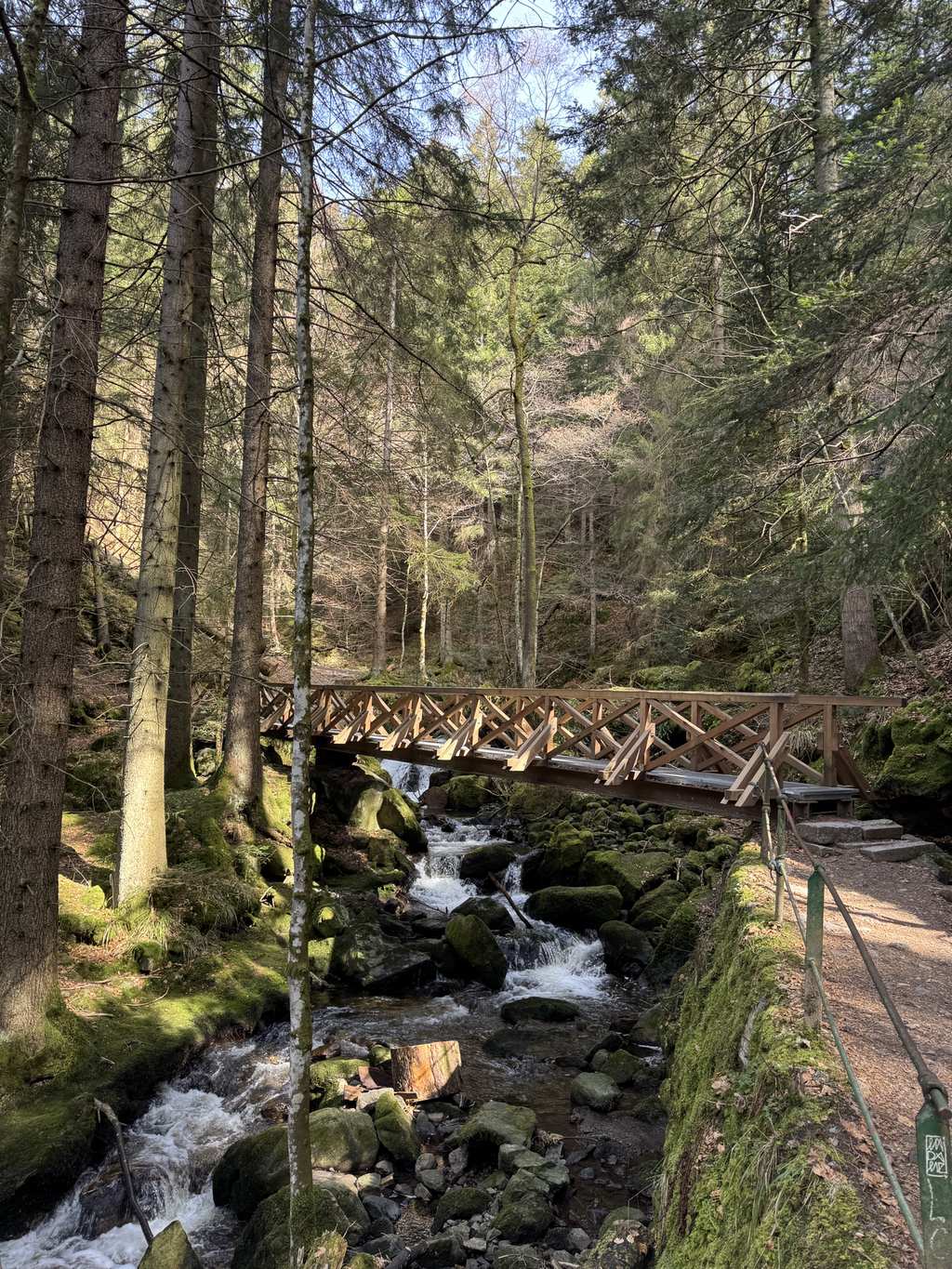 Ravennakloof – Grote Ravenna-waterval rondtocht vanuit VVG der Gemeinde Hinterzarten