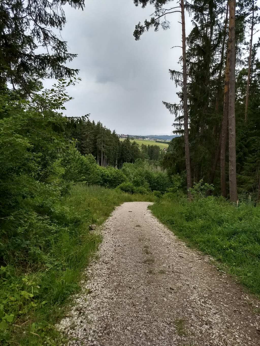 Balgenbächle-Rundweg