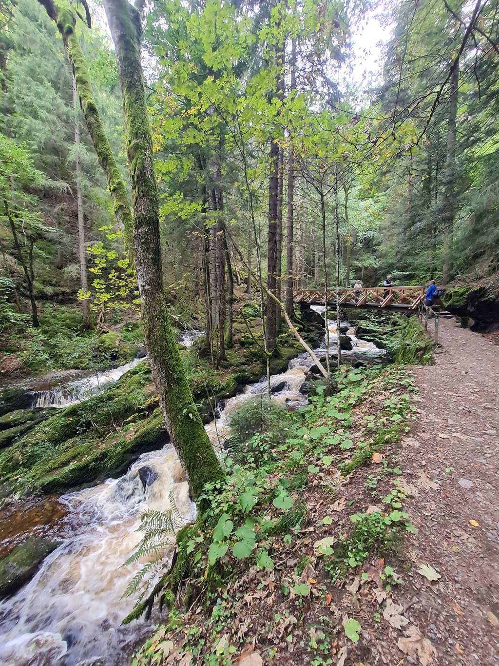 Ravennakloof – Grote Ravenna-waterval rondtocht vanuit VVG der Gemeinde Hinterzarten