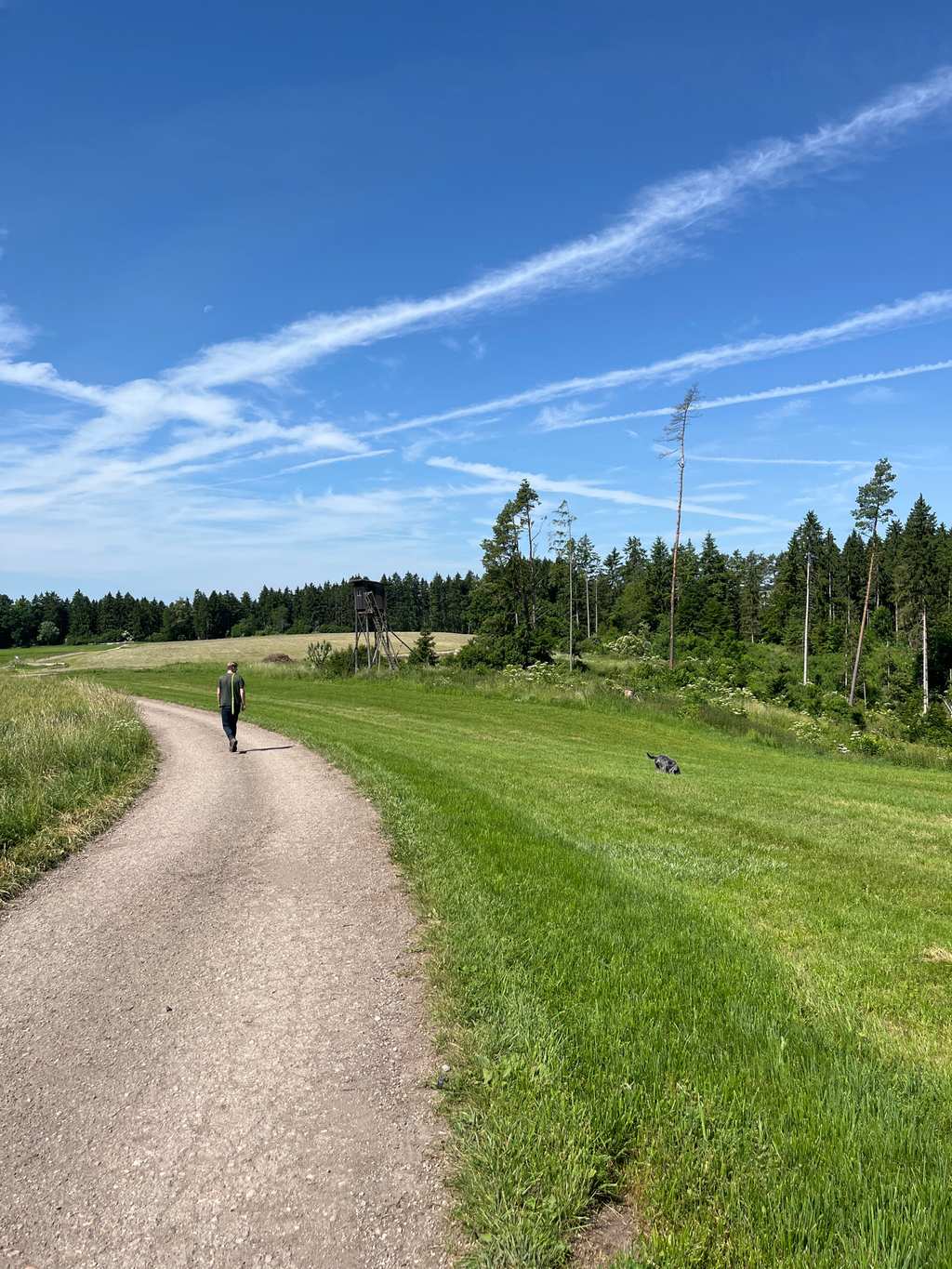 Balgenbächle-Rundweg