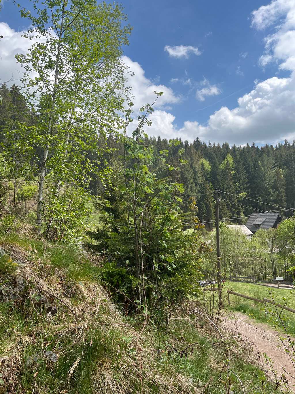 Ravennakloof – Grote Ravenna-waterval rondtocht vanuit VVG der Gemeinde Hinterzarten