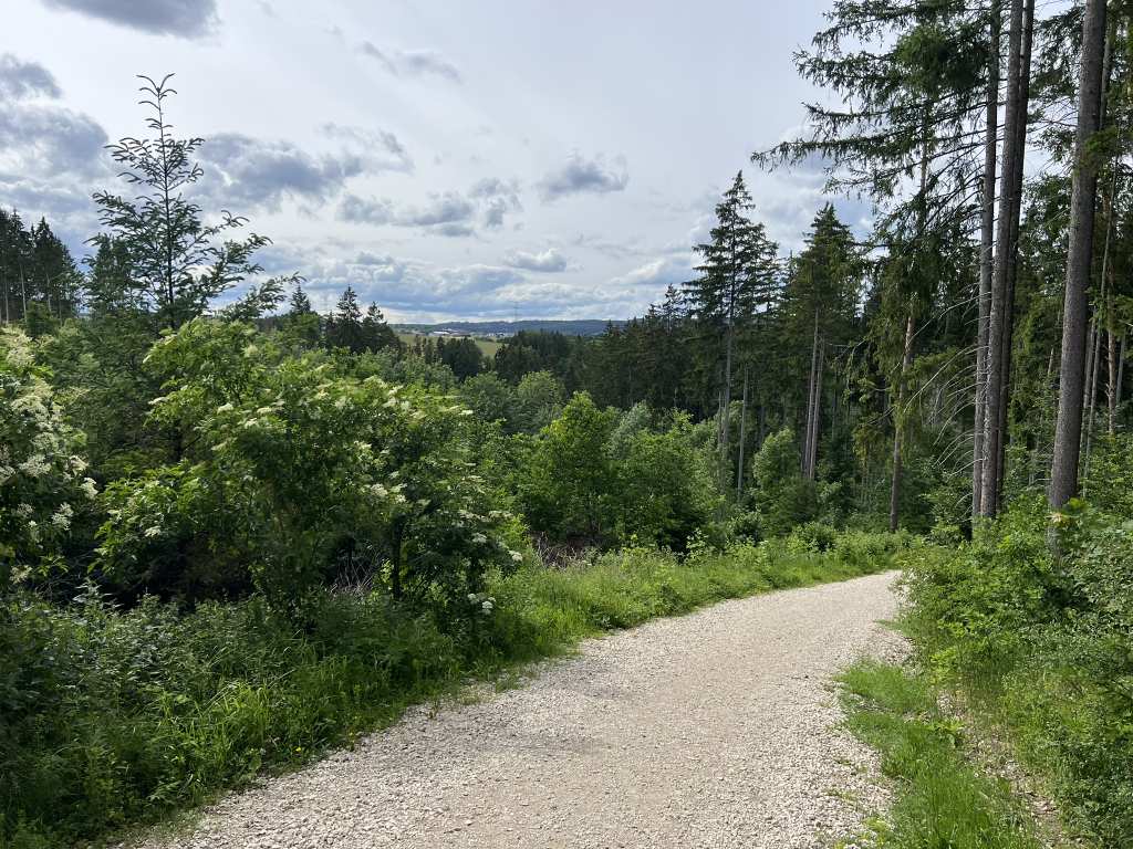 Balgenbächle-Rundweg