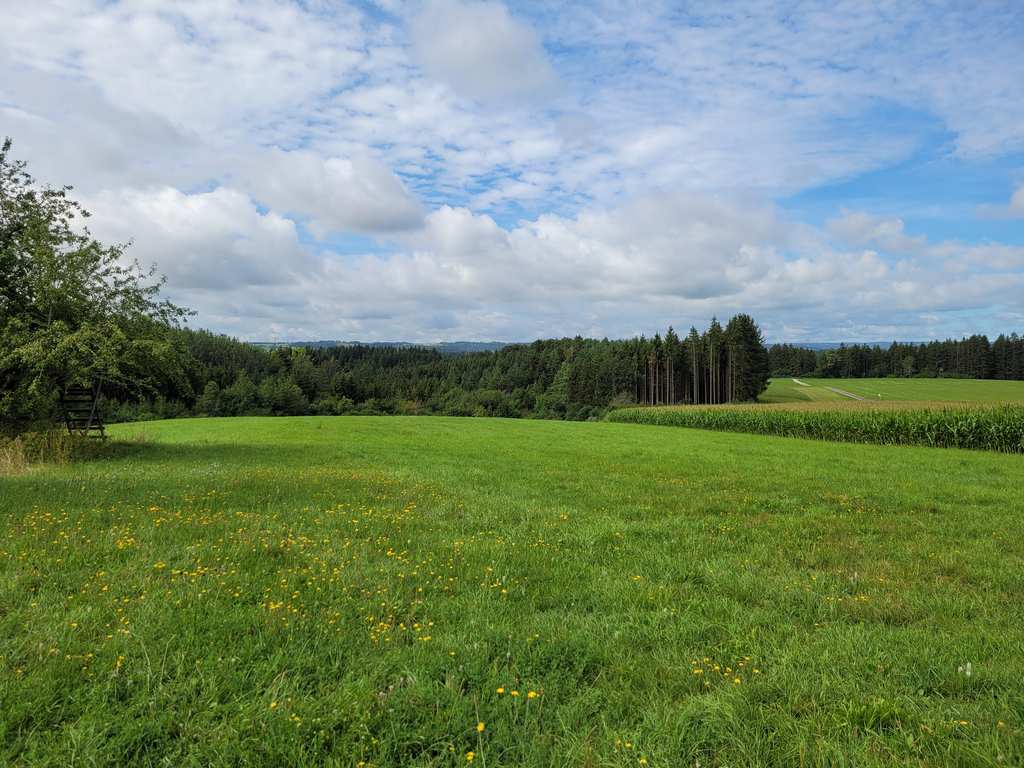 Balgenbächle-Rundweg