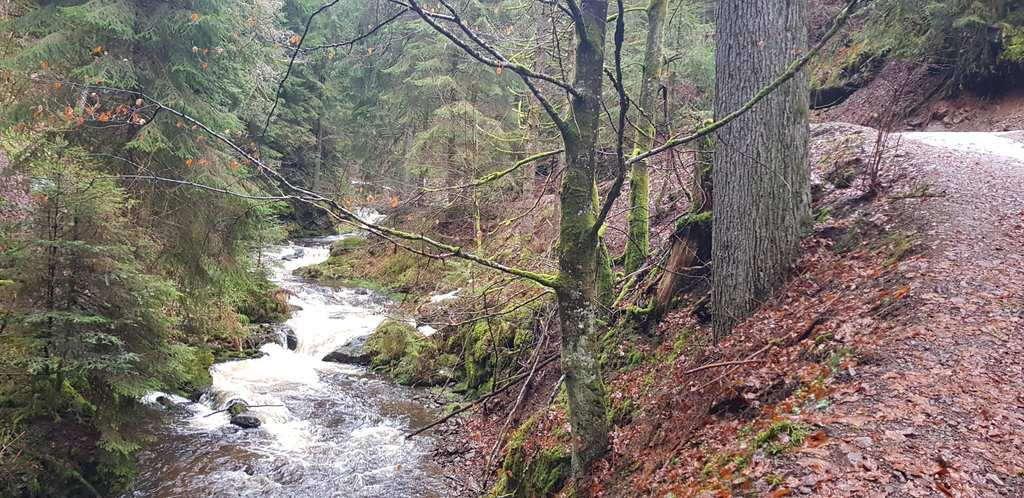 Ravennakloof – Grote Ravenna-waterval rondtocht vanuit VVG der Gemeinde Hinterzarten