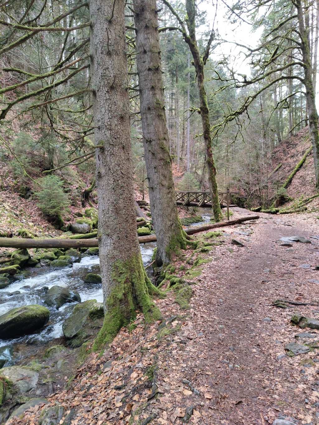 Ravennakloof – Grote Ravenna-waterval rondtocht vanuit VVG der Gemeinde Hinterzarten
