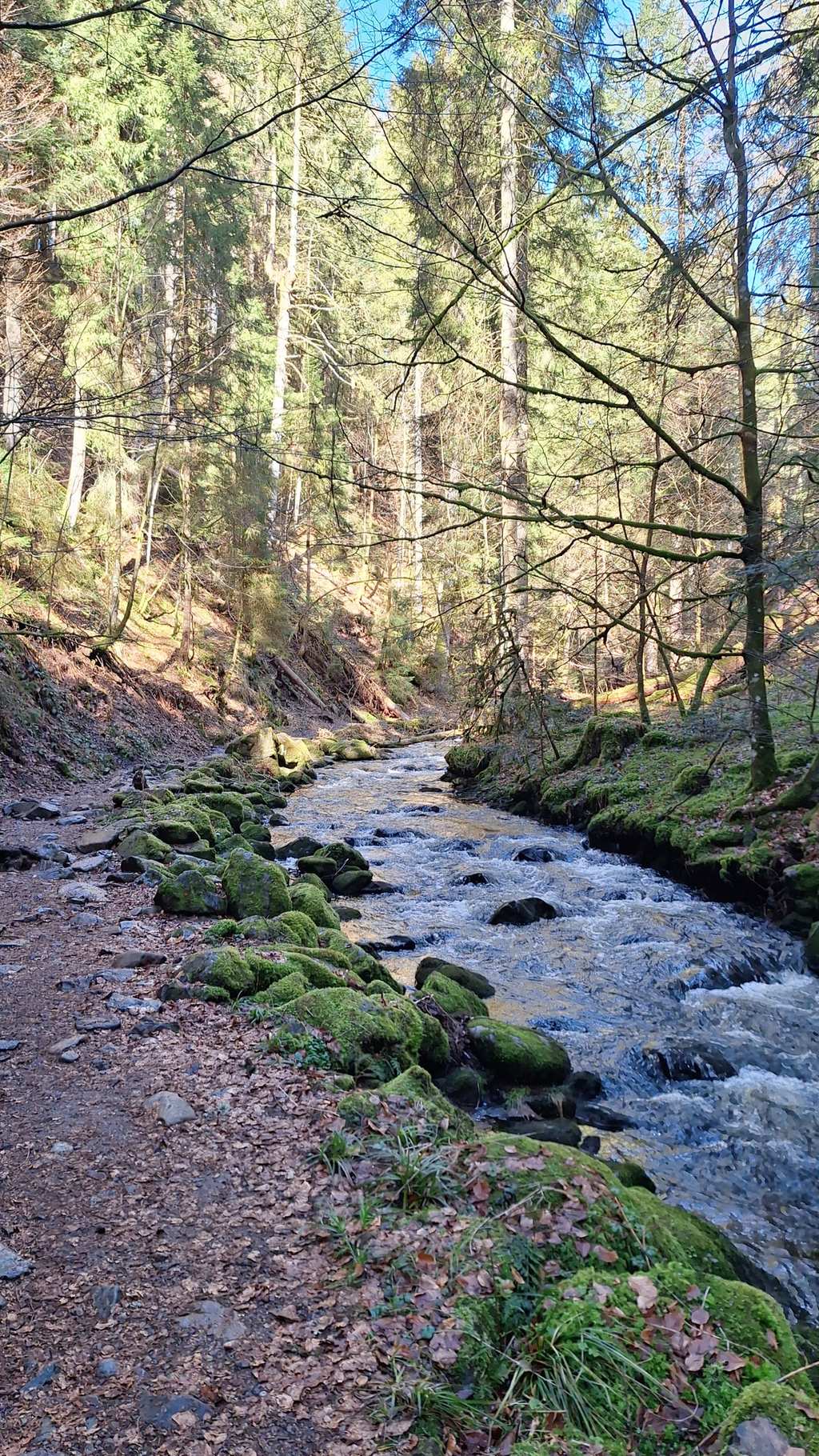 Ravennakloof – Grote Ravenna-waterval rondtocht vanuit VVG der Gemeinde Hinterzarten