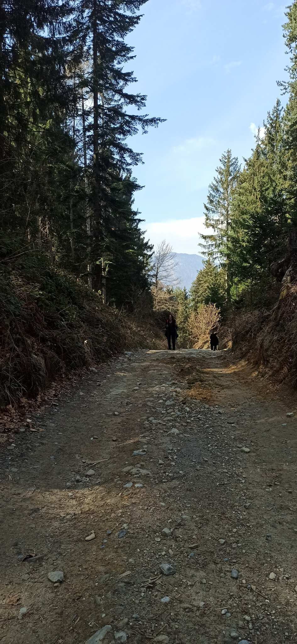 Zwitserland