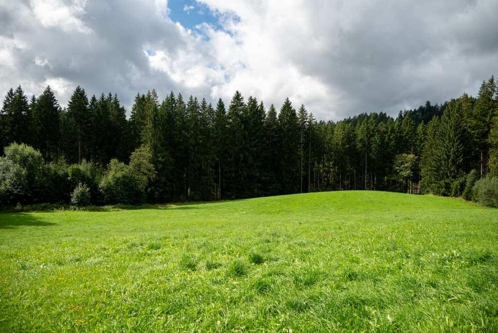Rössleberg - Seiltrieb