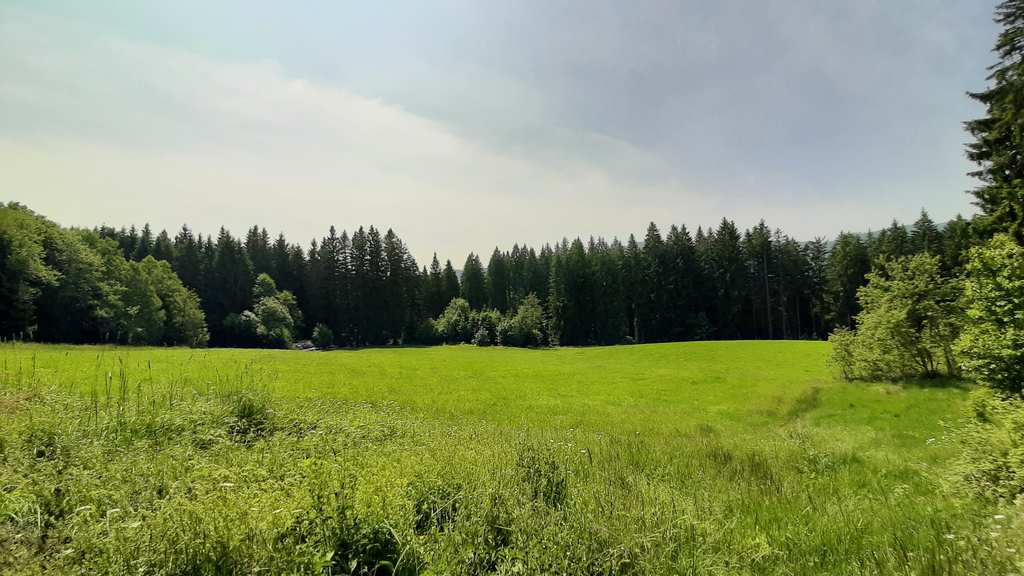 Rössleberg - Seiltrieb