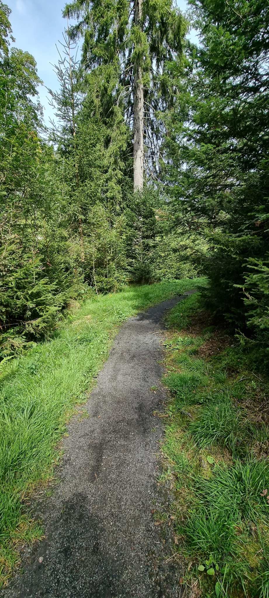 Rössleberg - Seiltrieb