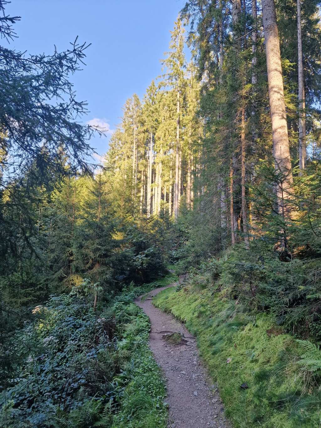 Ravennakloof – Ravennaviaduct rondtocht vanuit Breitnau