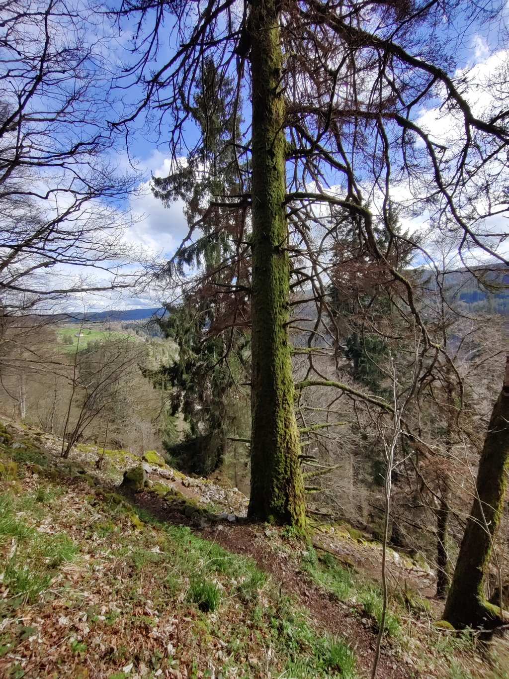 Ravennakloof – Ravennaviaduct rondtocht vanuit Breitnau