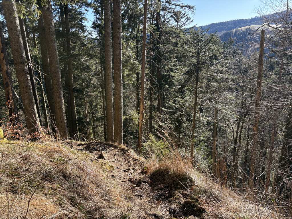 Ravennakloof – Ravennaviaduct rondtocht vanuit Breitnau