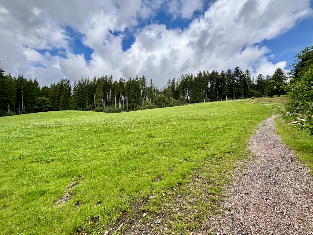 Ravennakloof – Ravennaviaduct rondtocht vanuit Breitnau