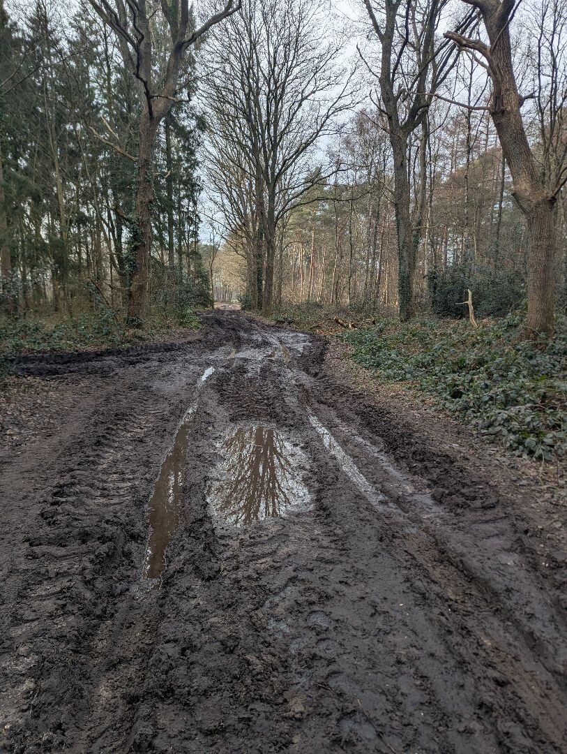 Van bushalte Rolde naar bushalte Gieten