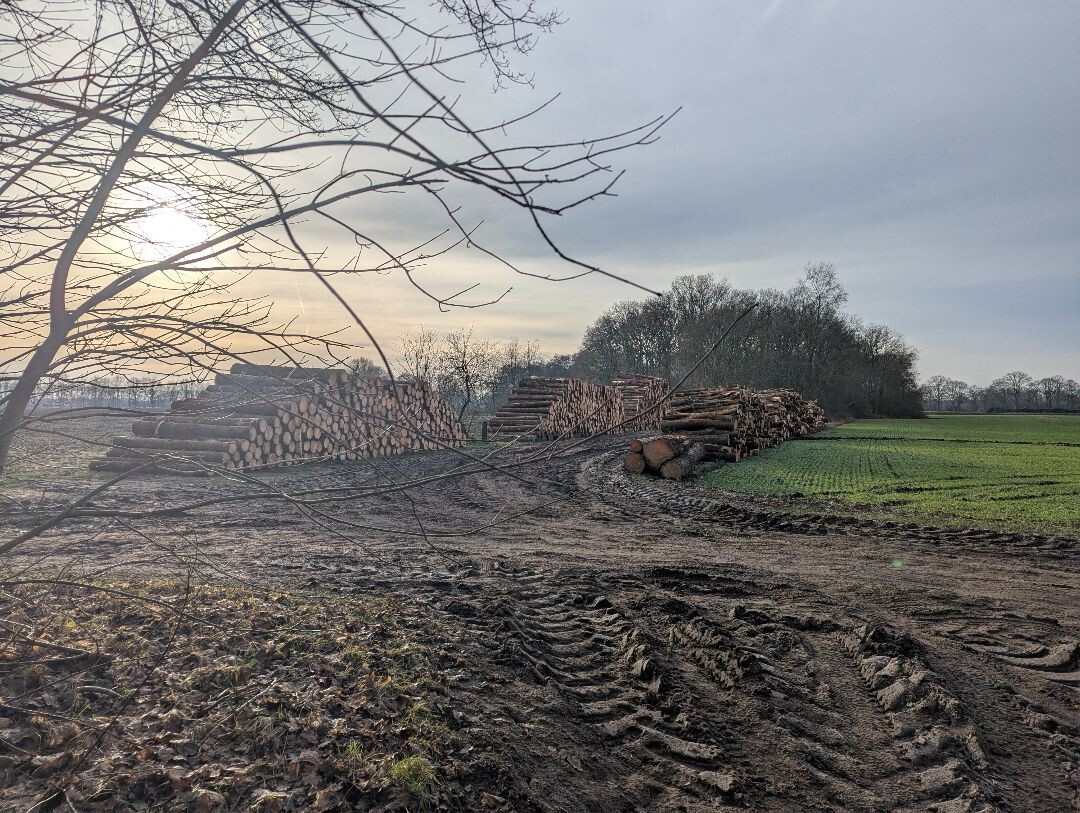 Van bushalte Rolde naar bushalte Gieten