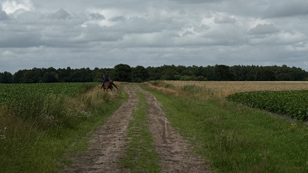 Onstwedde