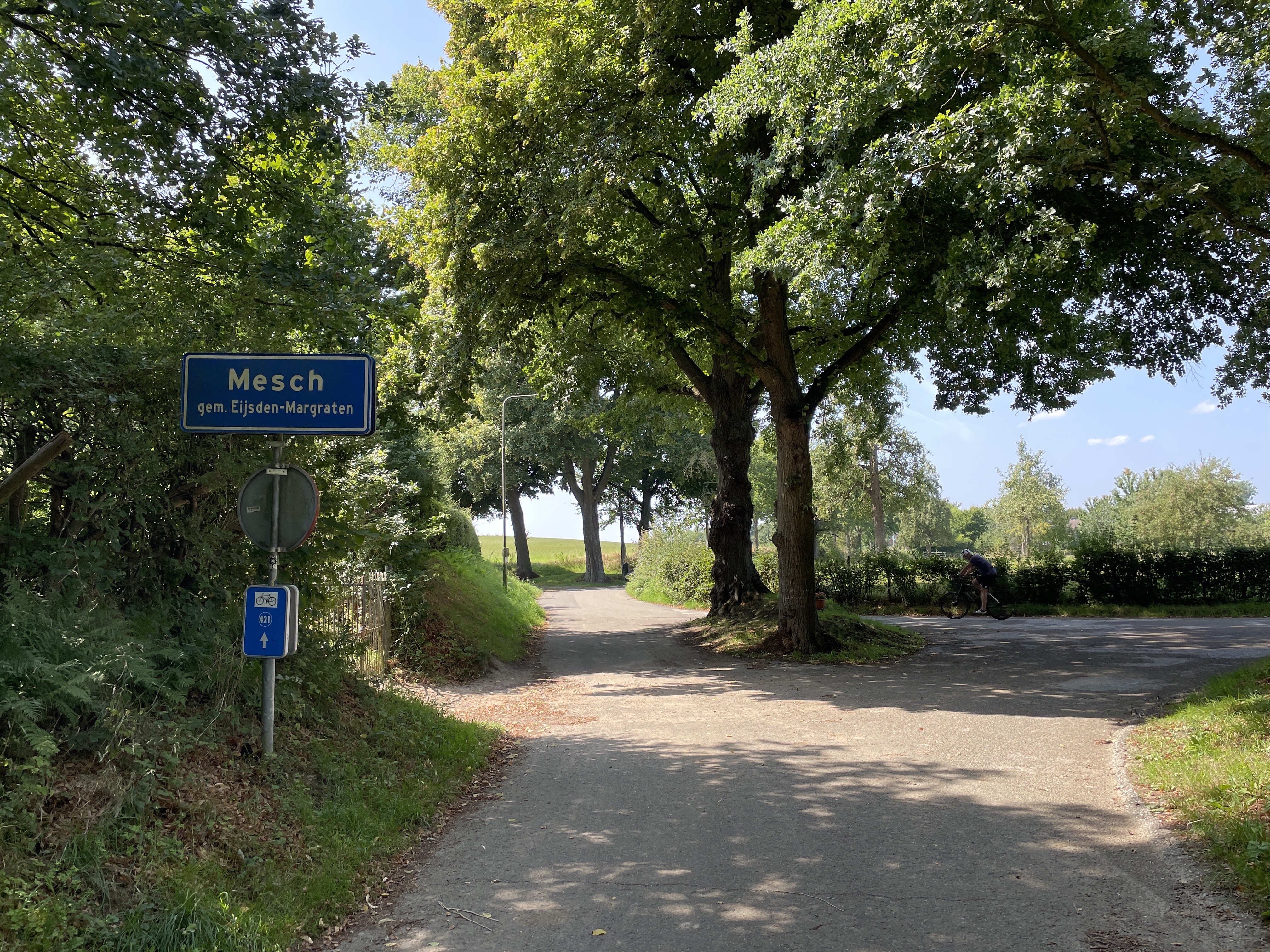 moelingen