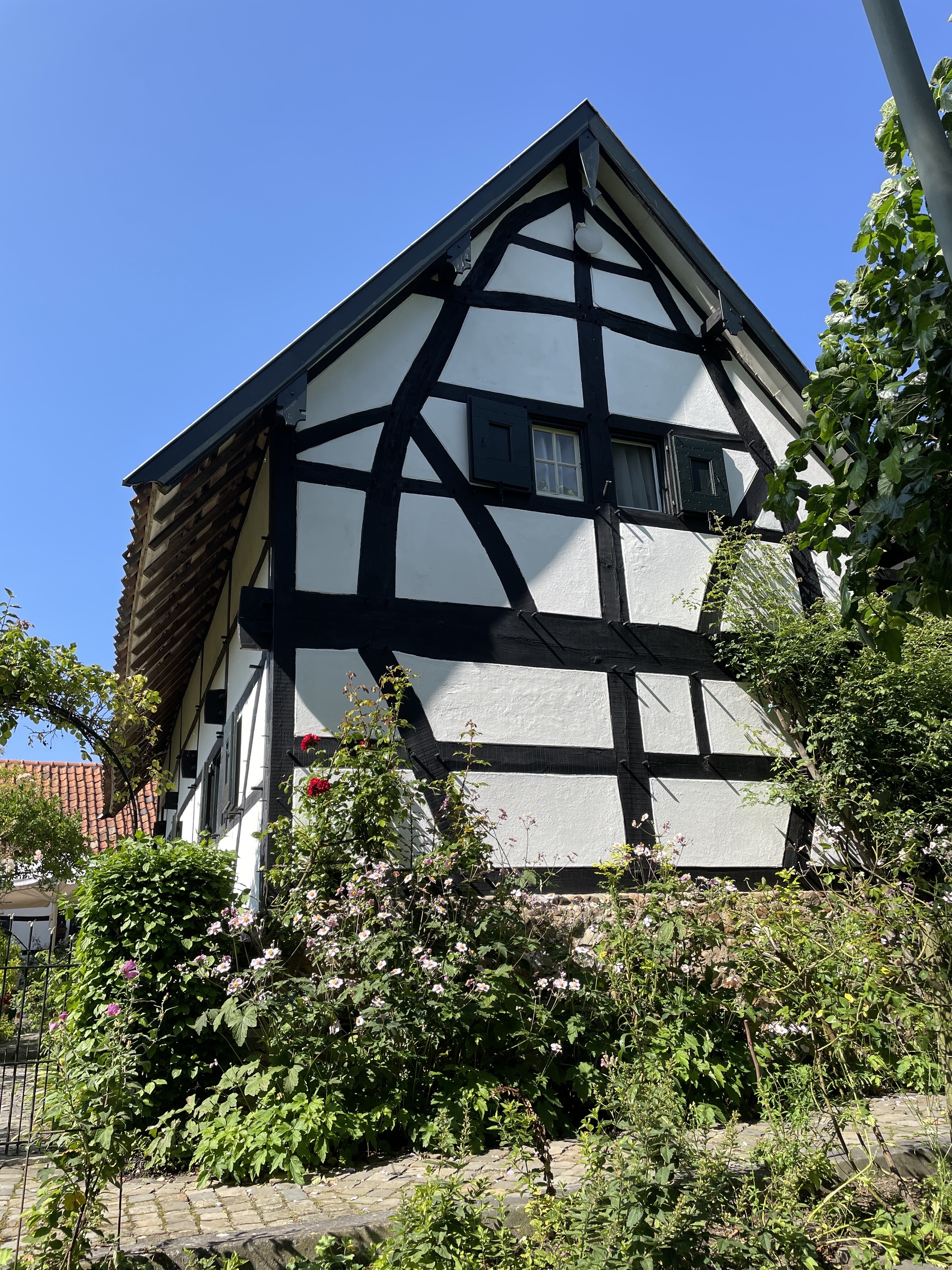 Eijsden-Margraten Mh2
