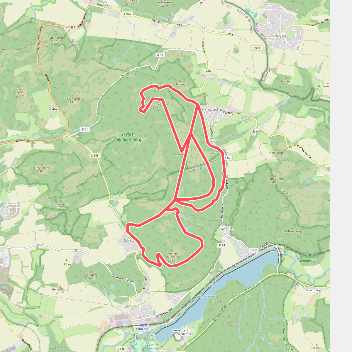 Veranderend bos