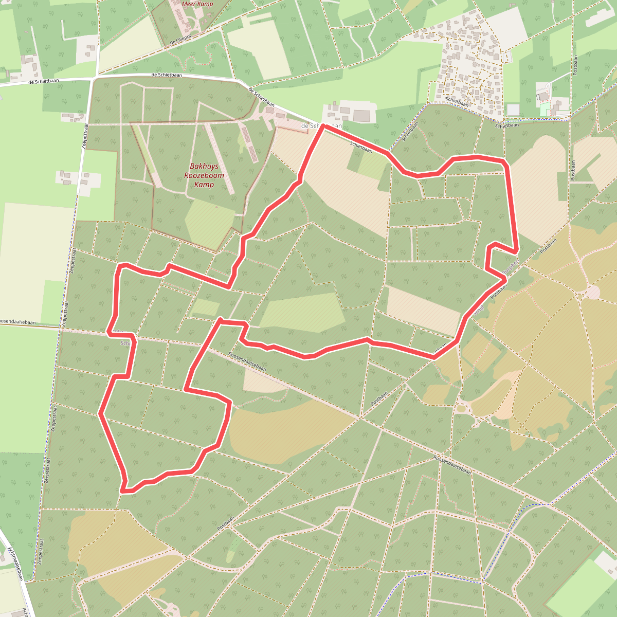 Rucphense heide