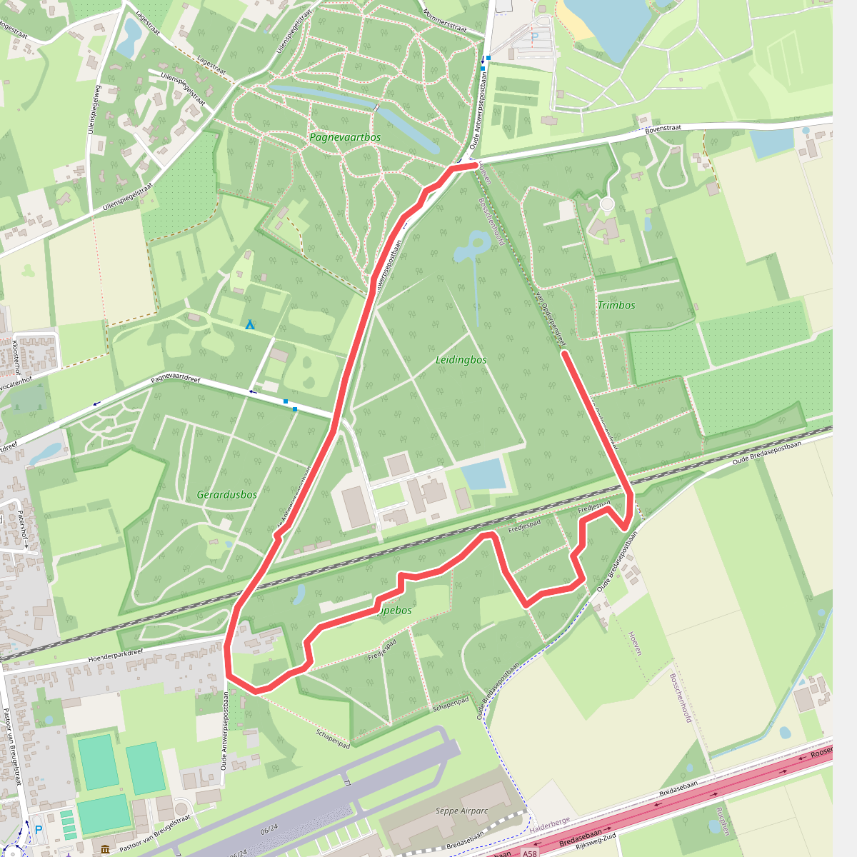 Pagnevaart