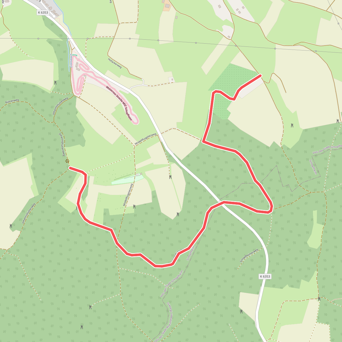 Langenkirschbaum - Johannishütte