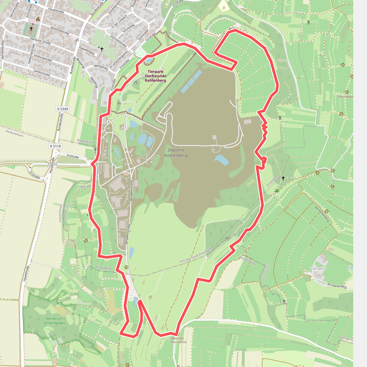 Ringsheimer Glückauf Schleife