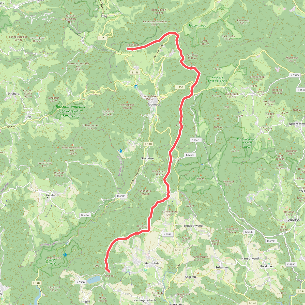 blaue Raute Hornberg - Langewald