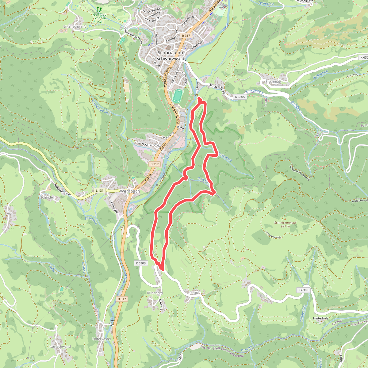 Urwaldpfad