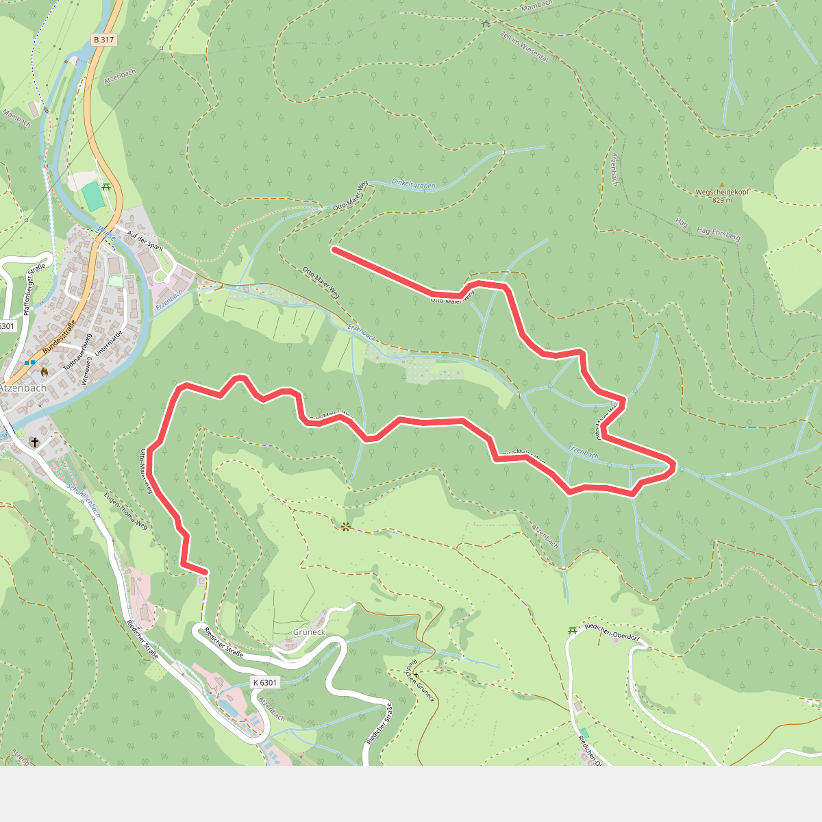 Erzenwald - Grüneck