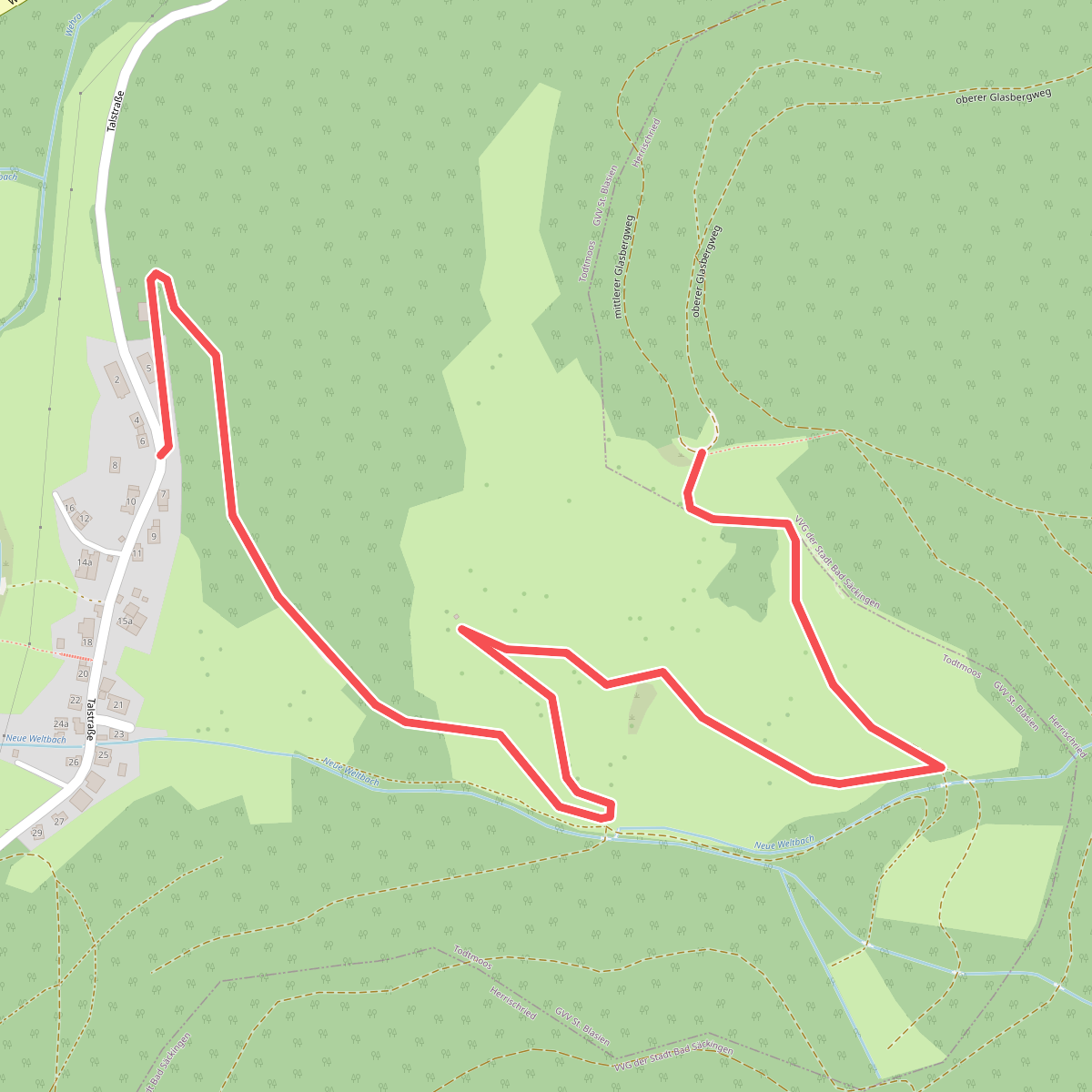 Todtmoos-Glashütte - Rheintalblick