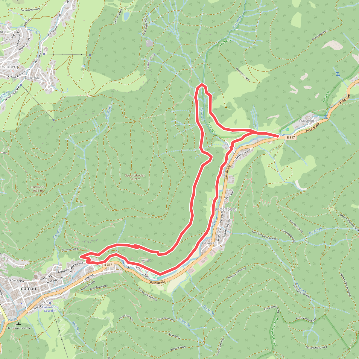 Walter-Wagner-Weg