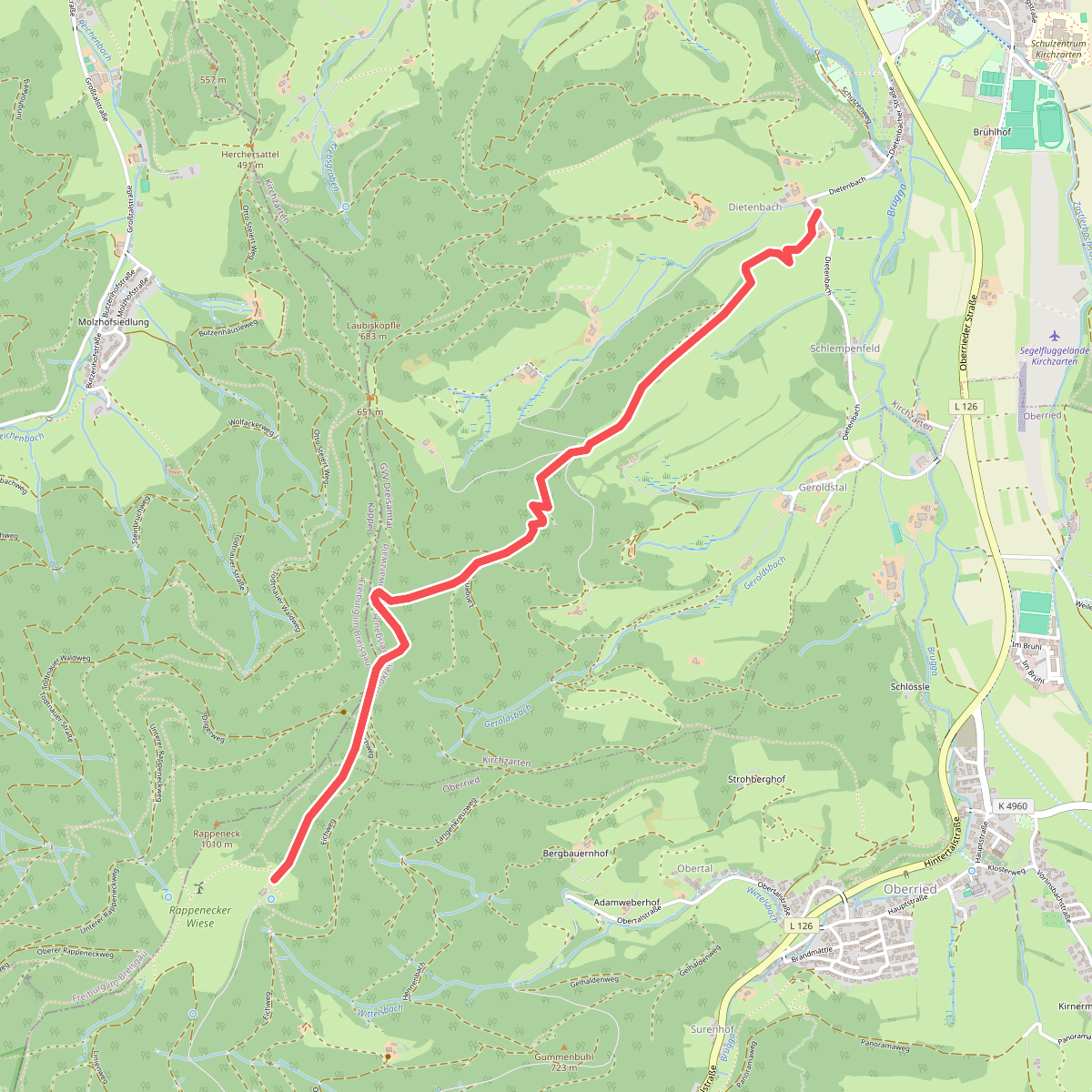 Dietenbach Jungbauernhof - Rappeneck