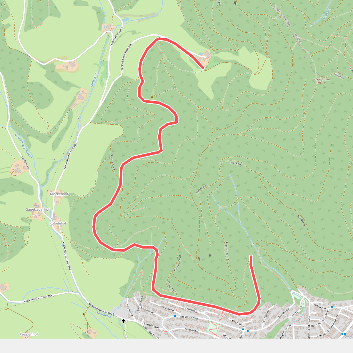 Beim Bromhof - Im Blasiwald