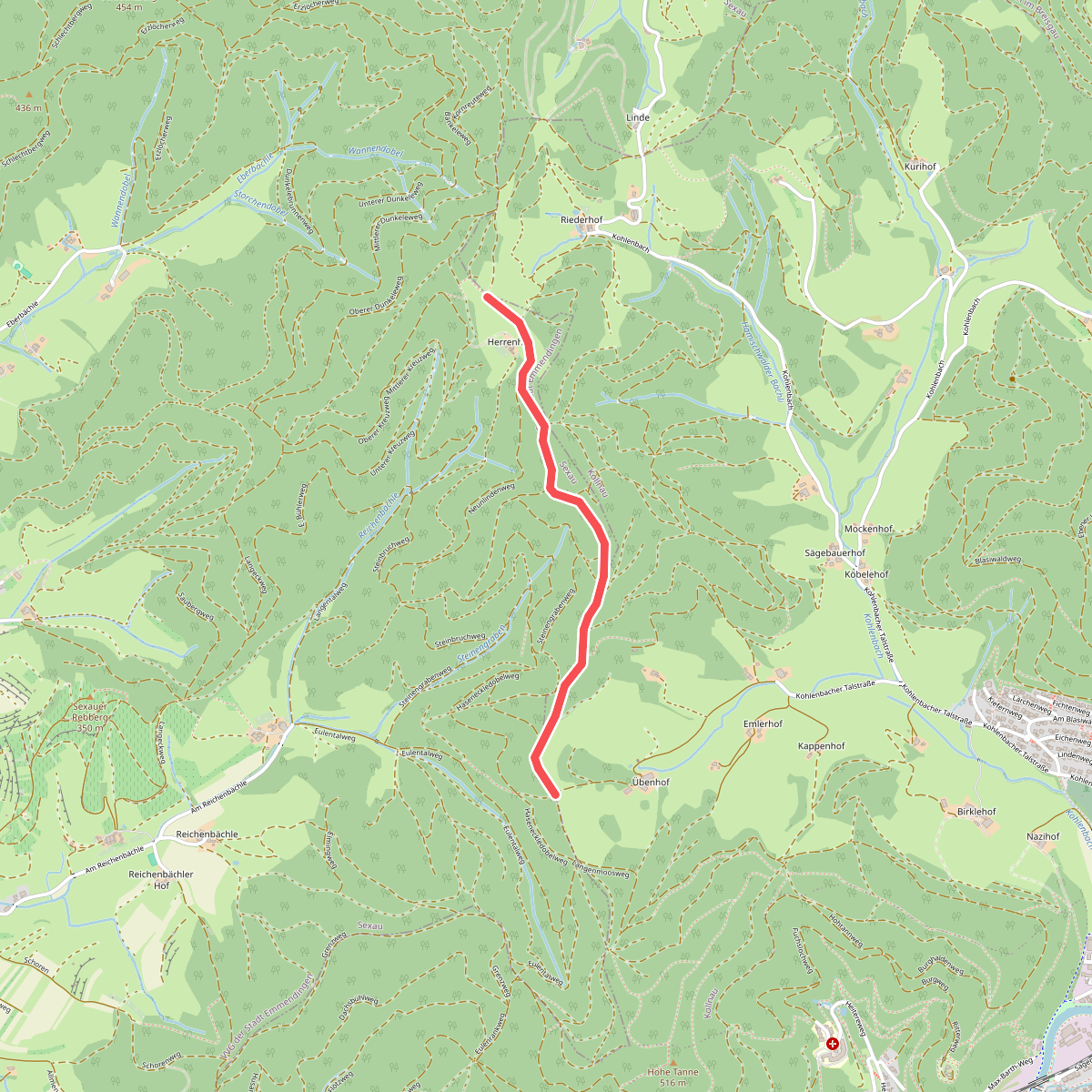 Hohtann Kandelblick - Sexauer Haseneckle