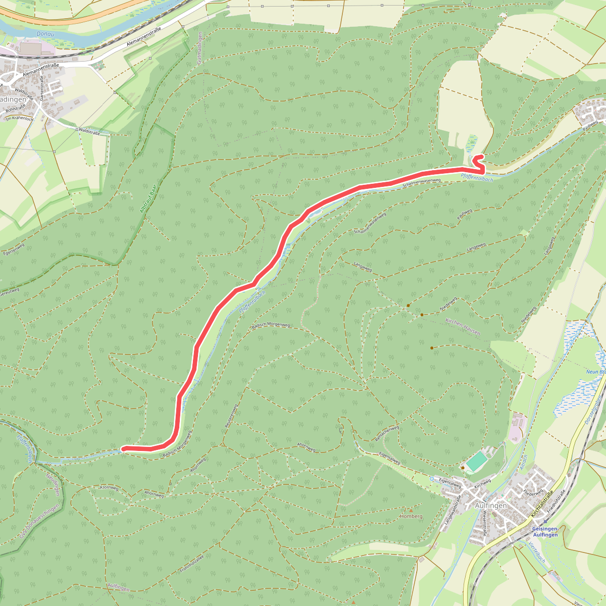 Hinter Ried - Pfaffental