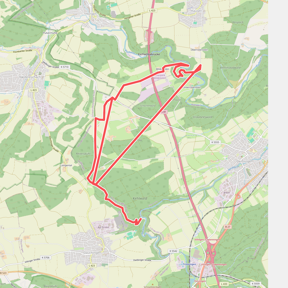 SAV rotes Plus Maienbühl-Oberrotenstein