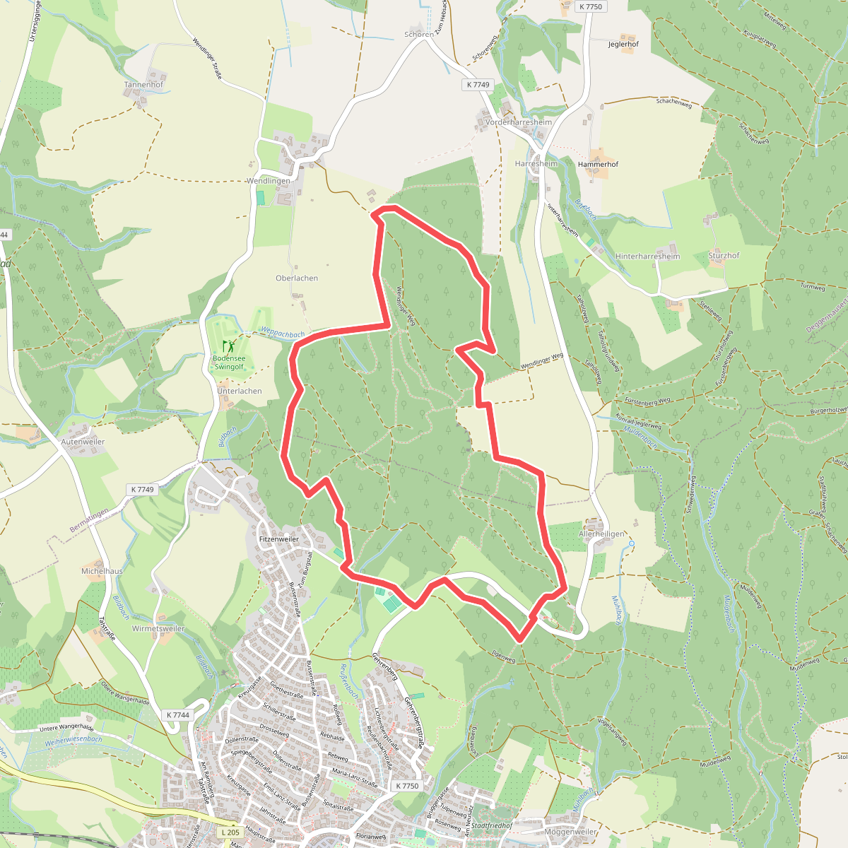 Wanderwege Markdorf: Pferdweg