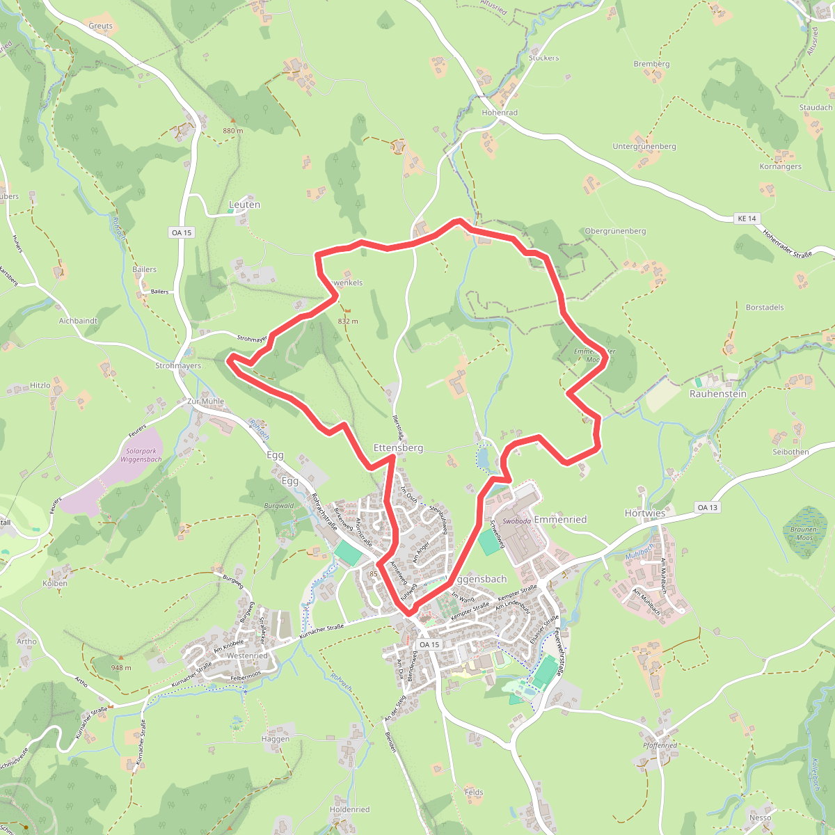 Mooswanderung
