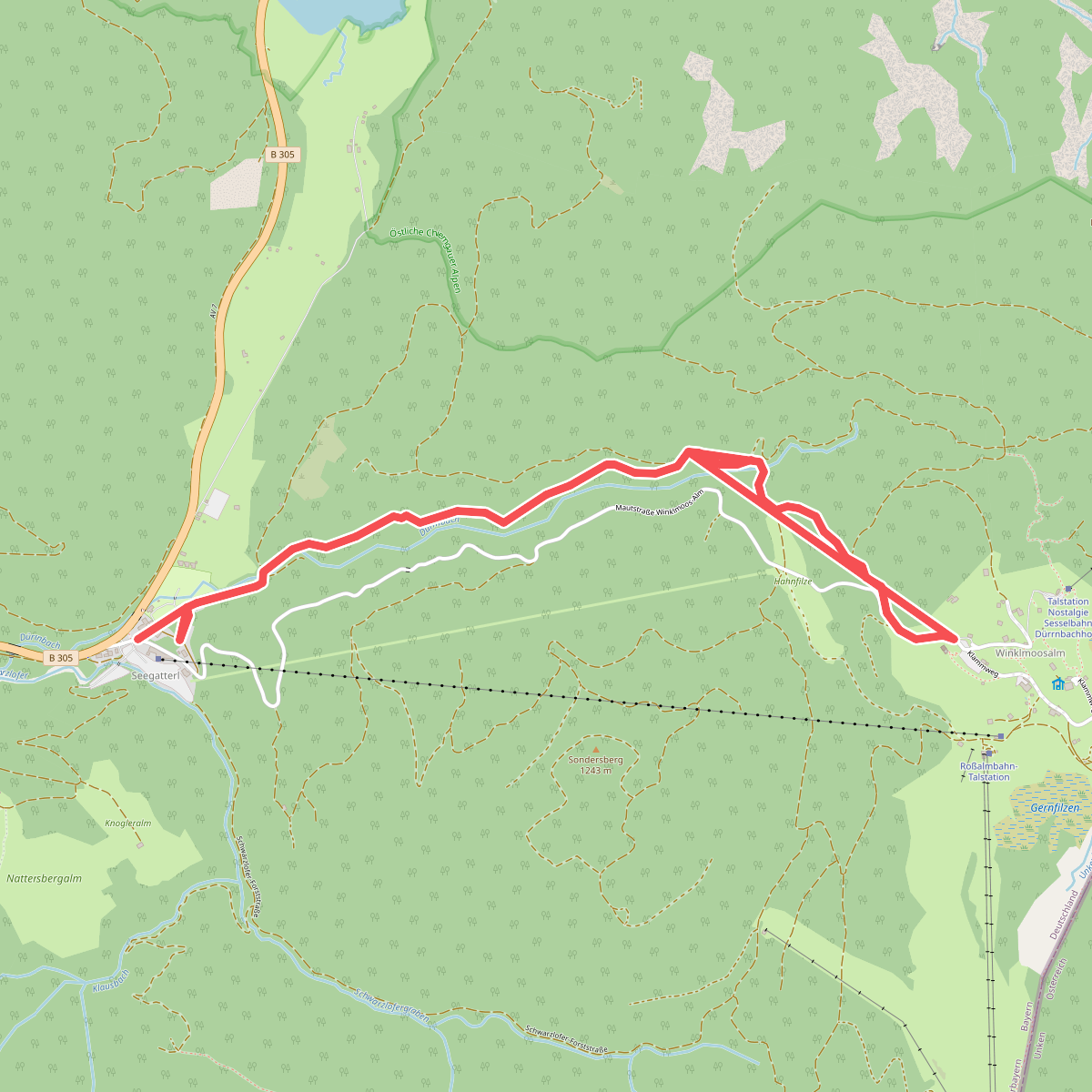 P Seegatterl zur Winklmoos - Alm