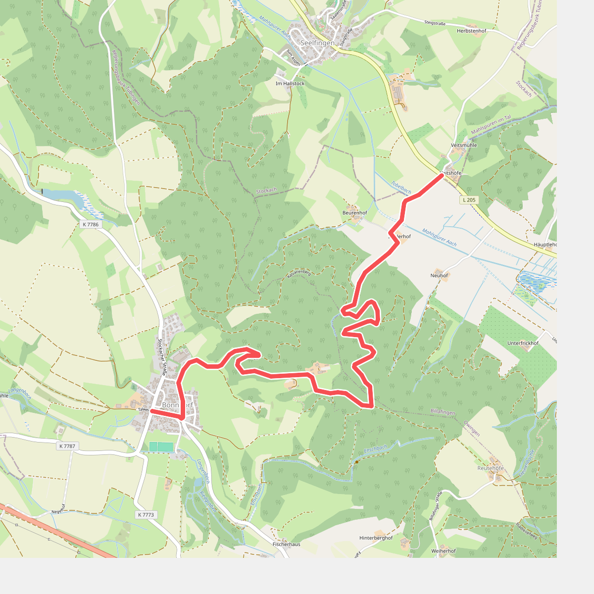 Bonndorf - Seelfingen