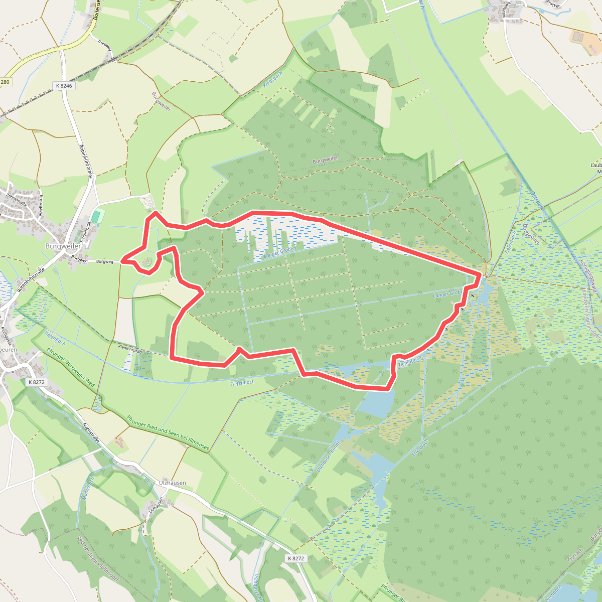 Bannwald