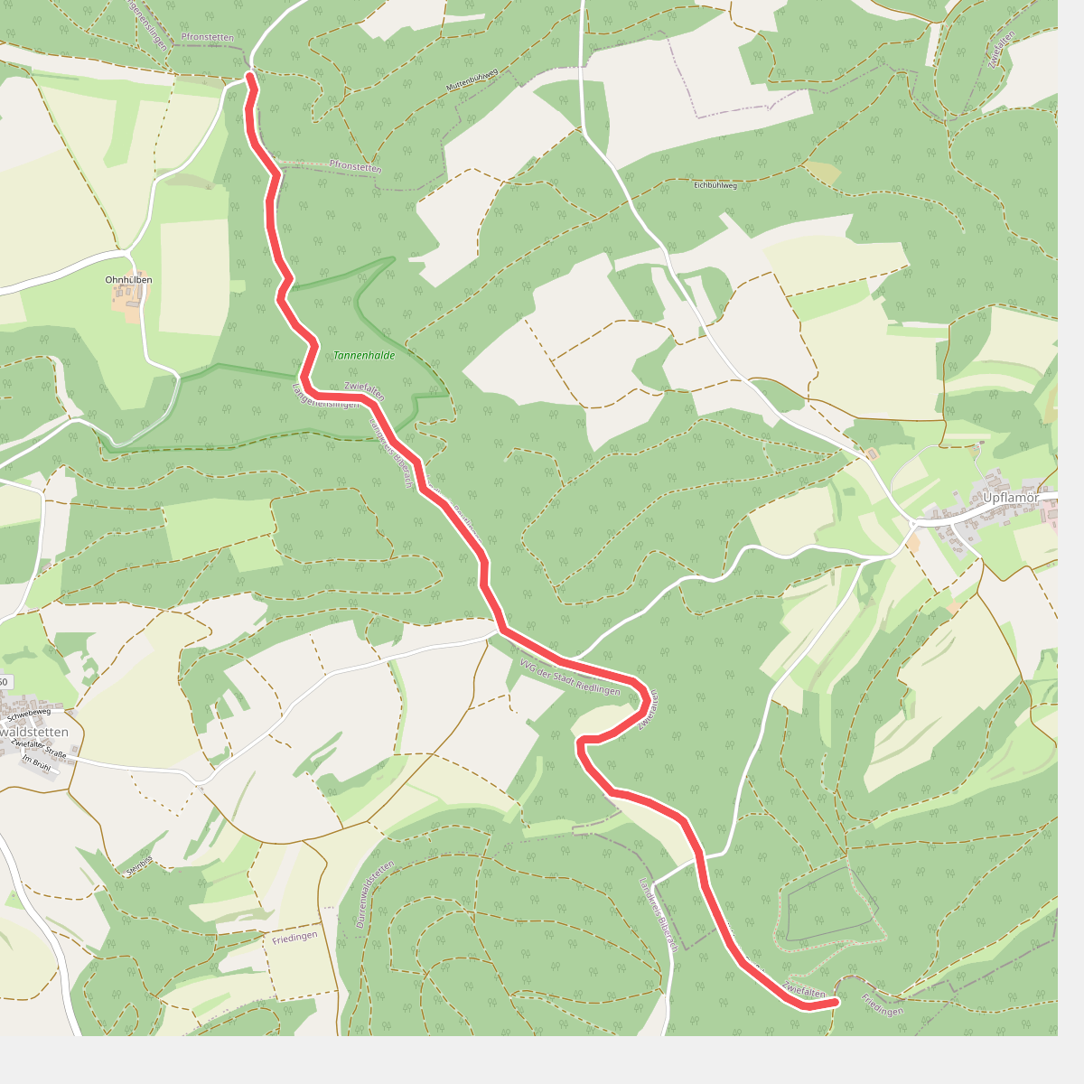 rote Raute Waldstetter Tal